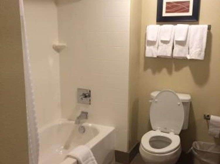 غرفه قياسيه سريرين مزدوجين, Comfort Suites Woodland  Sacramento Airport