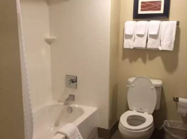 ２ダブルベッドのスタンダードルーム, Comfort Suites Woodland  Sacramento Airport