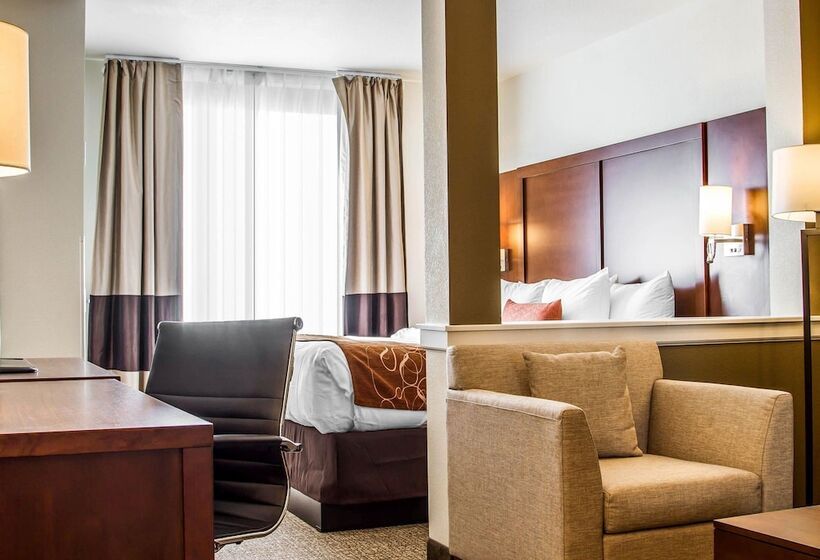 جناح لذوى الاحتياجات الخاصة, Comfort Suites Woodland  Sacramento Airport