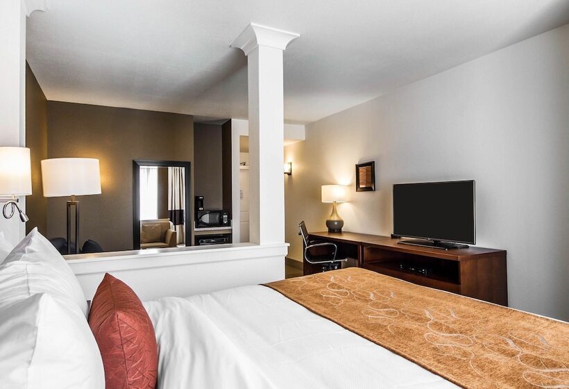 适合残疾人士使用的套间, Comfort Suites Woodland  Sacramento Airport