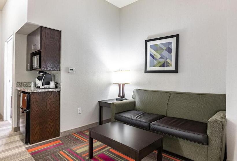 Люкс, Holiday Inn Express & Suites New Martinsville, An Ihg