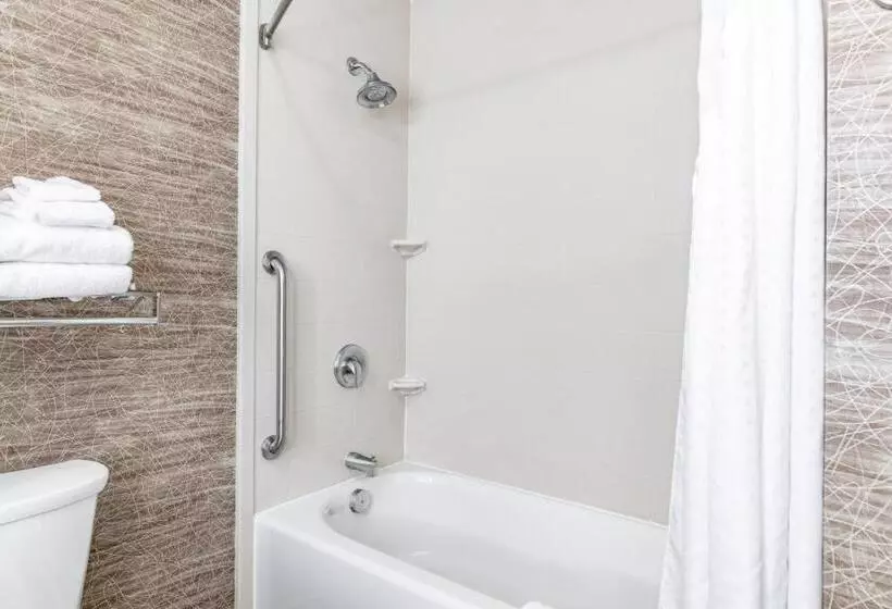 身障者適用キングサイズベッドルーム, Holiday Inn Express & Suites New Martinsville, An Ihg