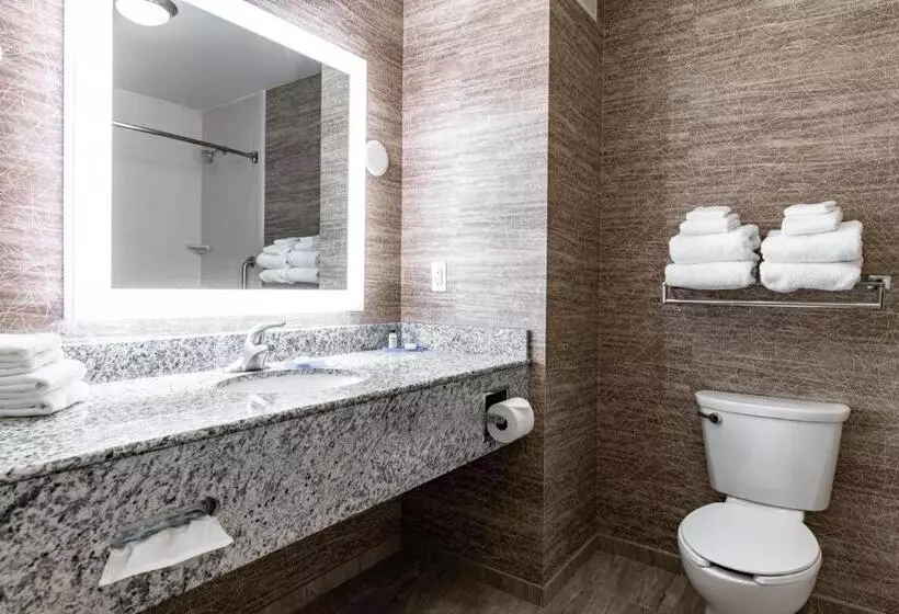 身障者適用キングサイズベッドルーム, Holiday Inn Express & Suites New Martinsville, An Ihg