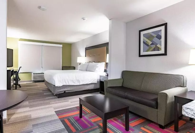 キングサイズベッドのスイートルーム, Holiday Inn Express & Suites New Martinsville, An Ihg