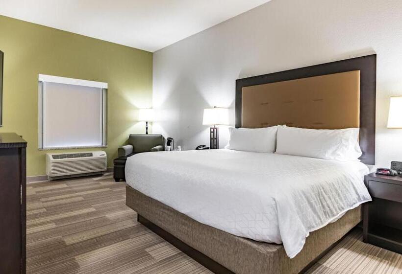 جناح سرير كينج, Holiday Inn Express & Suites New Martinsville, An Ihg