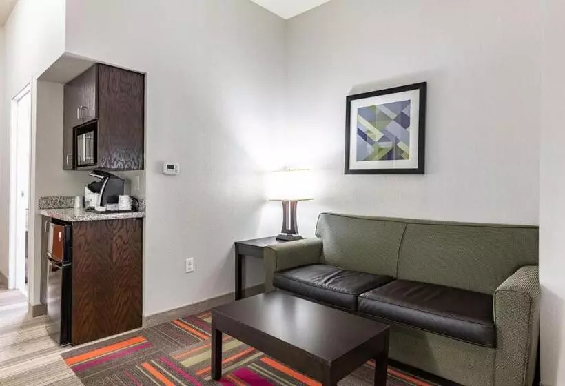 身障者適用スイートルーム, Holiday Inn Express & Suites New Martinsville, An Ihg