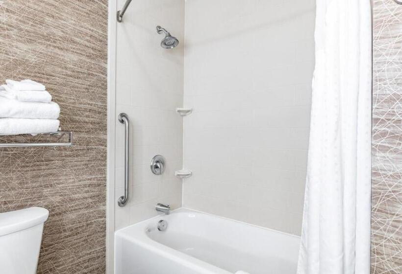 Люкс Адаптированный для Инвалидов, Holiday Inn Express & Suites New Martinsville, An Ihg