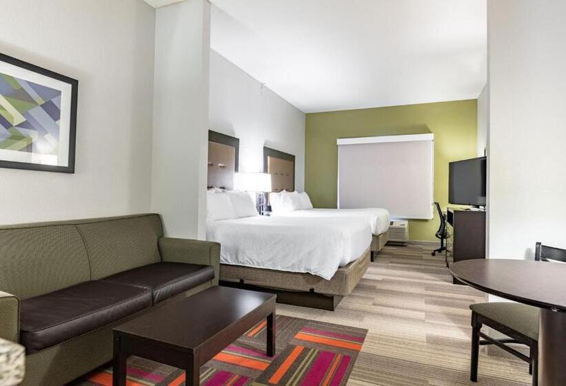 Номер Deluxe Адаптированный для Инвалидов, Holiday Inn Express & Suites New Martinsville, An Ihg