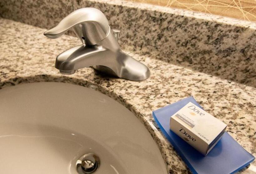 Номер Deluxe Адаптированный для Инвалидов, Holiday Inn Express & Suites New Martinsville, An Ihg