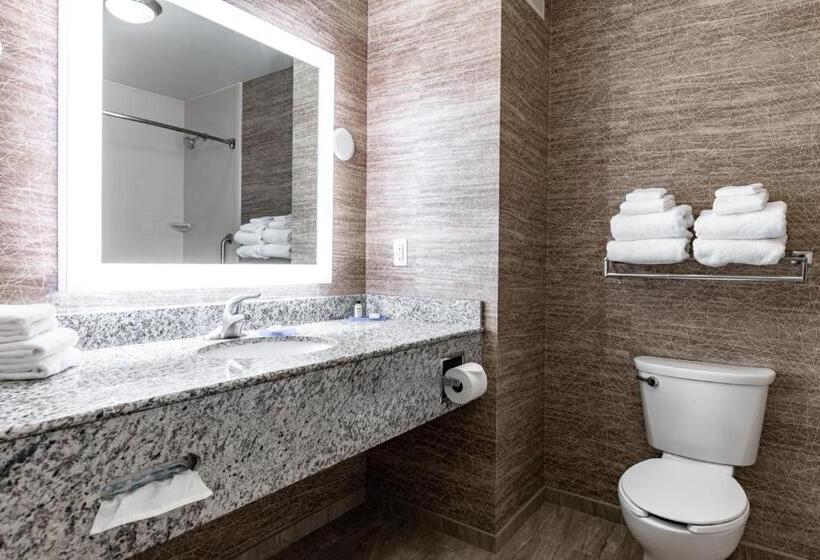 غرفة ديلوكس لذوى الاحتياجات الخاصة, Holiday Inn Express & Suites New Martinsville, An Ihg