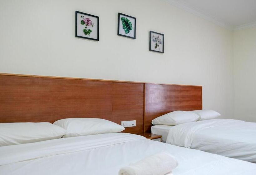 Семейный Номер Вид на Сад, Landcons