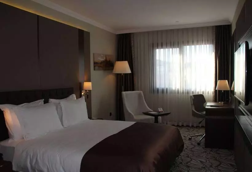 身障者適用スタンダードルーム, Ramada By Wyndham Istanbul Merter
