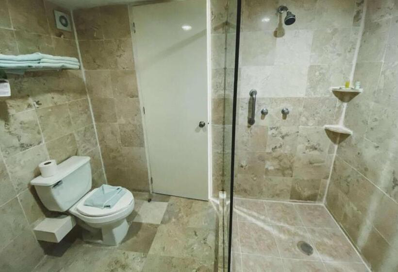 Büyük Çift Kişilik Yataklı Standart Oda, Best Western Plus Tuxtepec