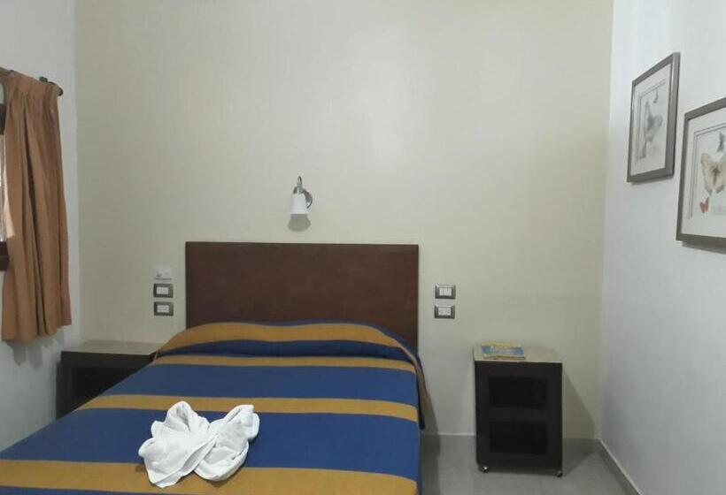 标准单人间, Cervantino