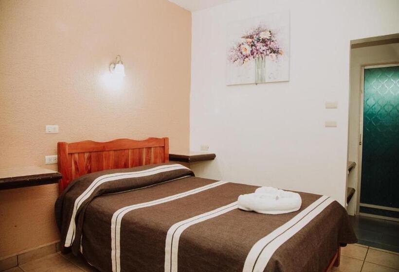 标准单人间, Cervantino