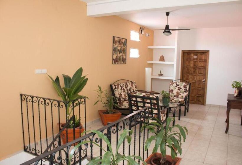 高级单人间, Cervantino