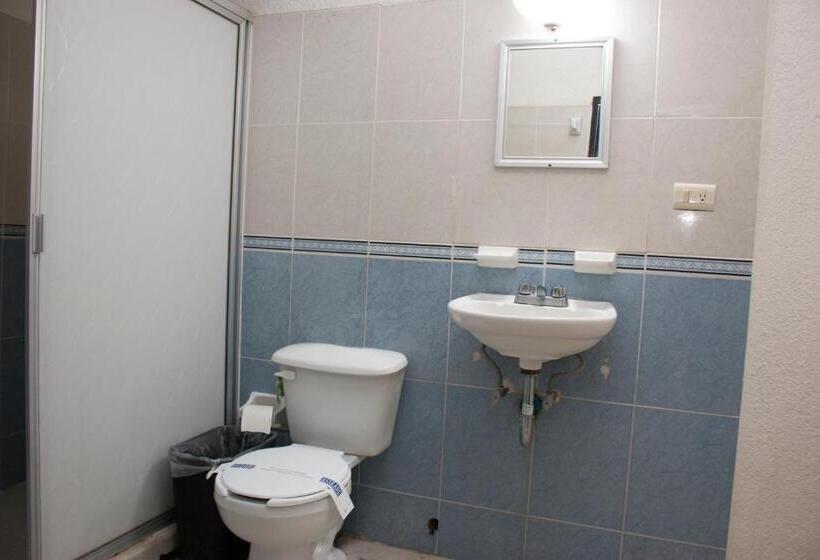 高级大房间, Cervantino