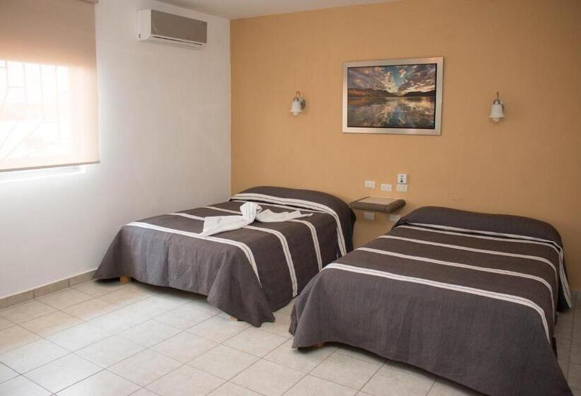 高级大房间, Cervantino