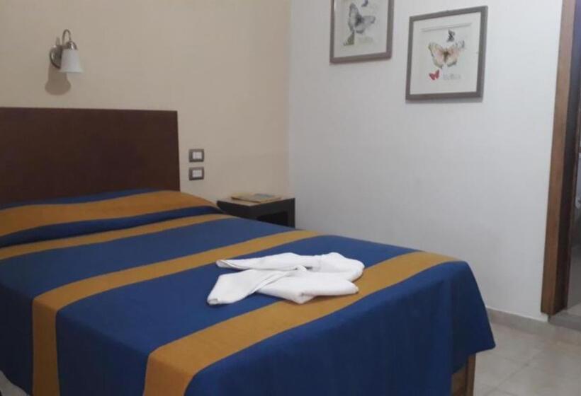 标准单人间, Cervantino