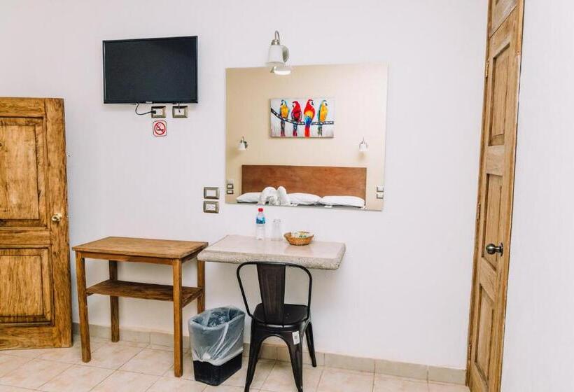 标准单人间, Cervantino