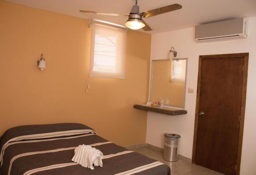 高级单人间, Cervantino