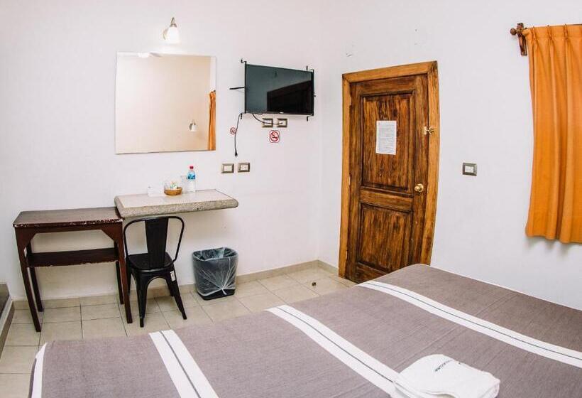 高级单人间, Cervantino