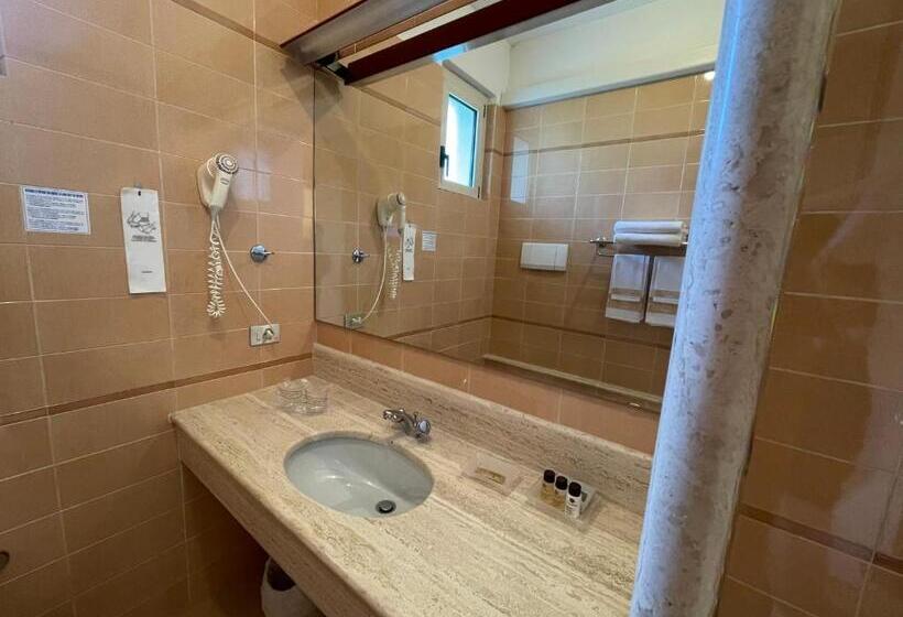 标准间带湖景, Le Petit Du Lac