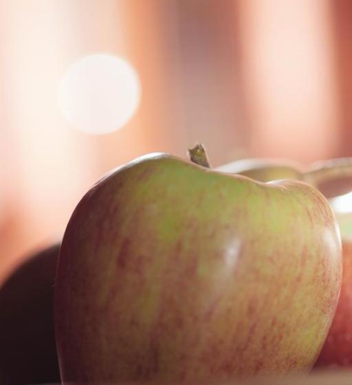 جناح عائلي, Pineta Nature Resort  Wellness & Spa