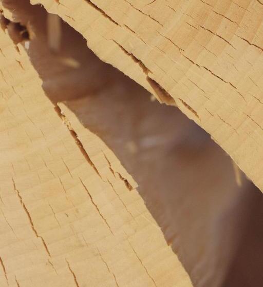 غرفة قياسية سرير كينج, Pineta Nature Resort  Wellness & Spa