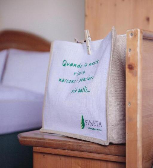 Трехместный Номер Комфорт, Pineta Nature Resort  Wellness & Spa