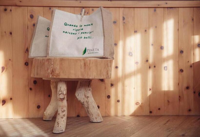 Стандартный Номер Кровать Кинг, Pineta Nature Resort  Wellness & Spa