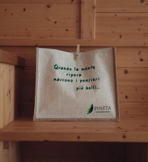 Полулюкс, Pineta Nature Resort  Wellness & Spa