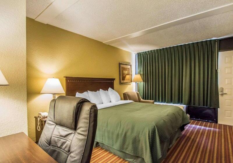 اتاق لوکس, Royalty Rio