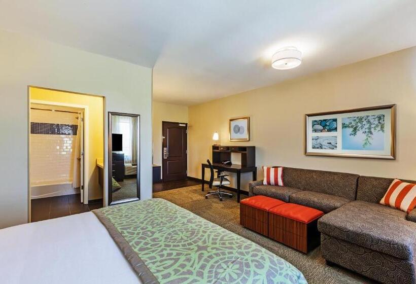 适合残疾人士使用的套间, Staybridge Suites Fort Worth Fossil Creek, An Ihg