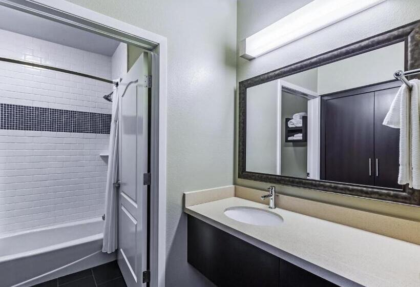 适合残疾人士使用的套间, Staybridge Suites Fort Worth Fossil Creek, An Ihg