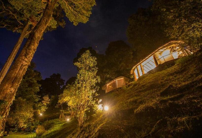 بنجلو سوبيريور, Dantica Cloud Forest Lodge