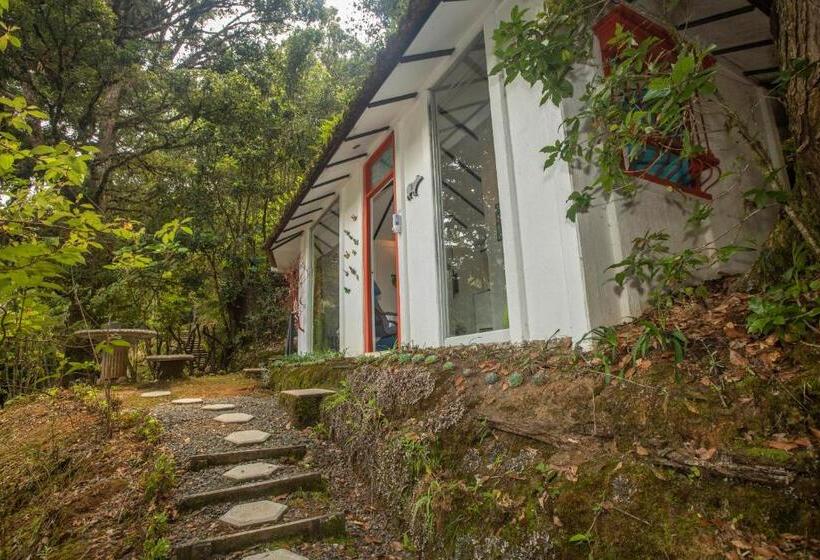 スタンダードバンガロー, Dantica Cloud Forest Lodge