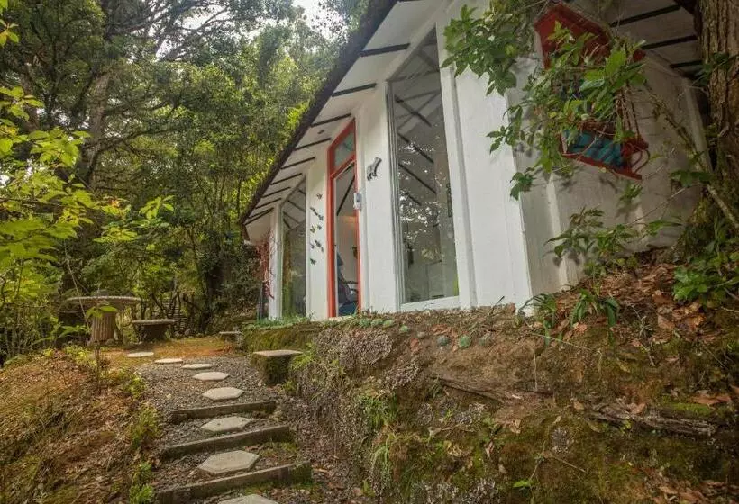 Standard-bungalow, Dantica Cloud Forest Lodge