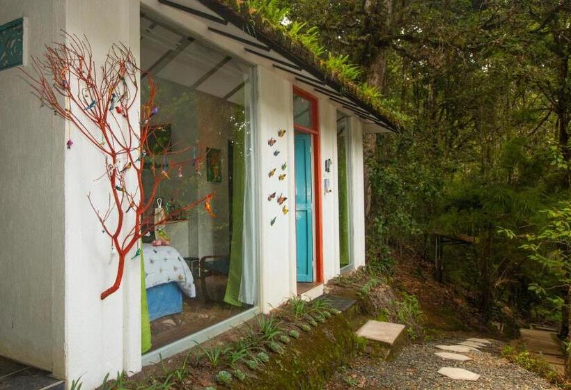 Бунгало Стандарт, Dantica Cloud Forest Lodge