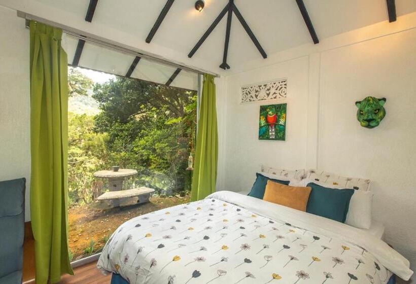 スタンダードバンガロー, Dantica Cloud Forest Lodge