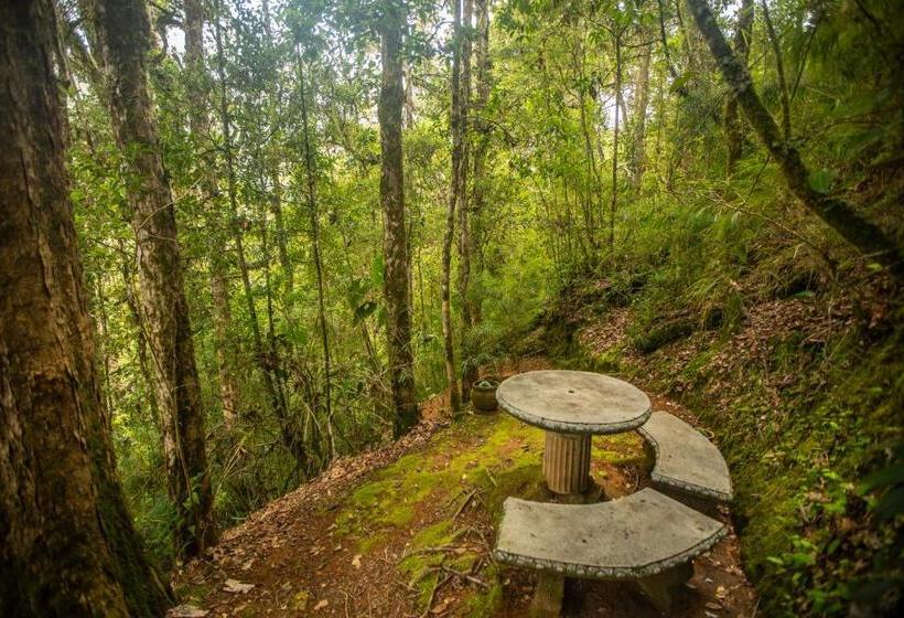 スタンダードバンガロー, Dantica Cloud Forest Lodge