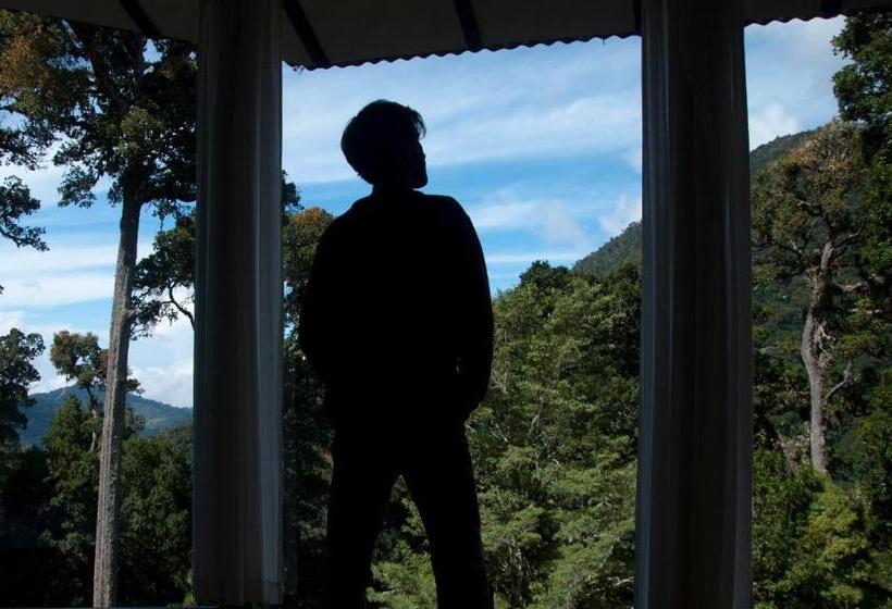 بنجلو قياسى, Dantica Cloud Forest Lodge