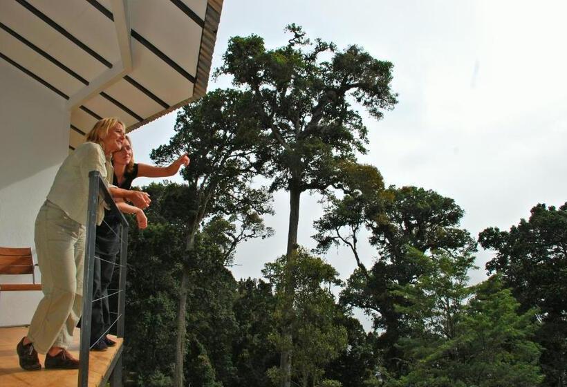 Бунгало Стандарт, Dantica Cloud Forest Lodge