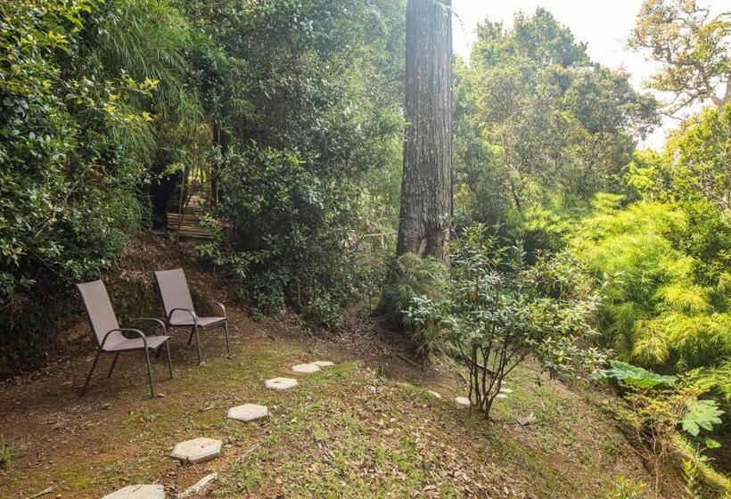 بنجلو قياسى غرفتين نوم, Dantica Cloud Forest Lodge