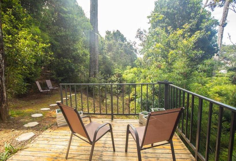 バンガローの２ベッドスタンダードルーム, Dantica Cloud Forest Lodge