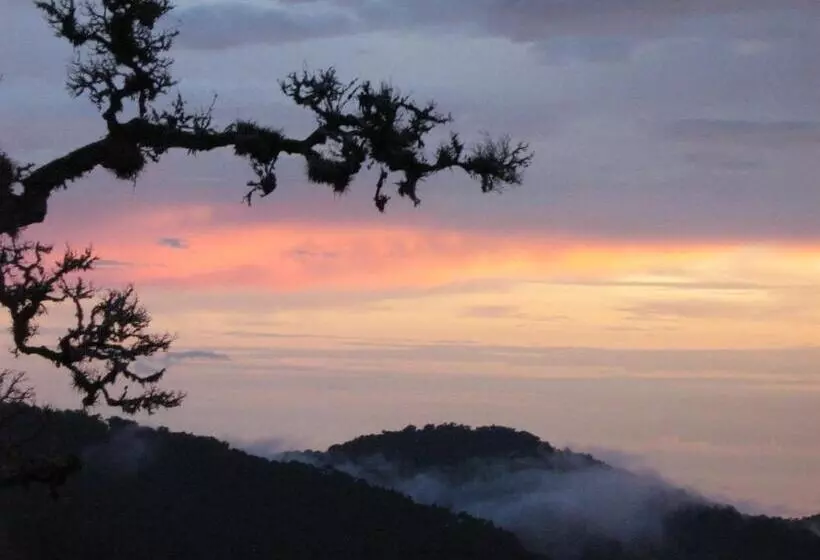 Juniorsviitti, Dantica Cloud Forest Lodge