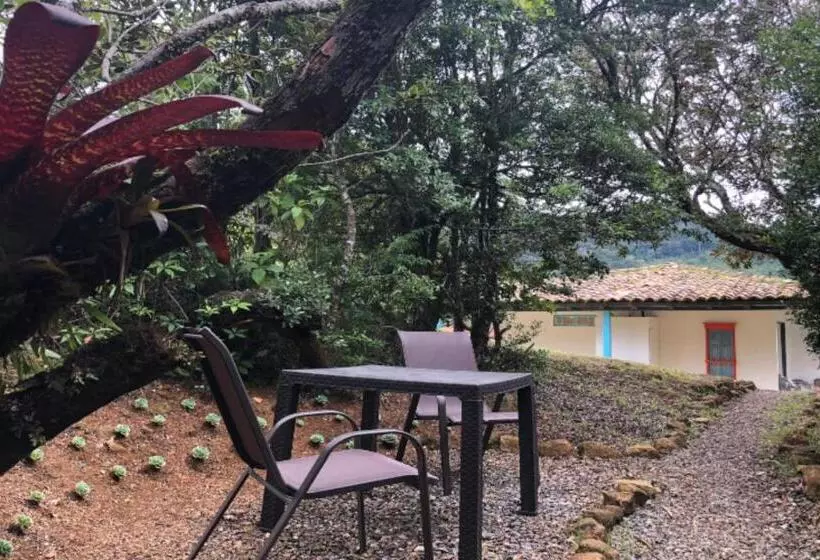 Juniorsviitti, Dantica Cloud Forest Lodge