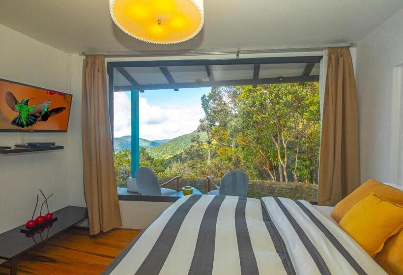 جناح جونيور, Dantica Cloud Forest Lodge