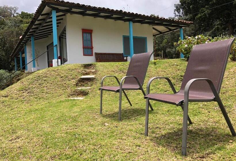 Люкс Мастер, Dantica Cloud Forest Lodge