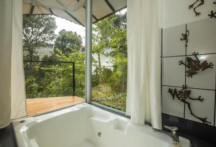 بنجلو قياسى, Dantica Cloud Forest Lodge